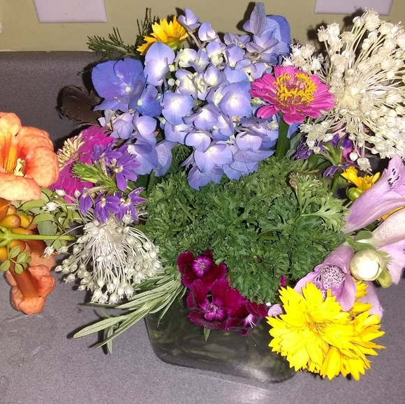 Meet your Posher, Robin - Picture 4 of 8